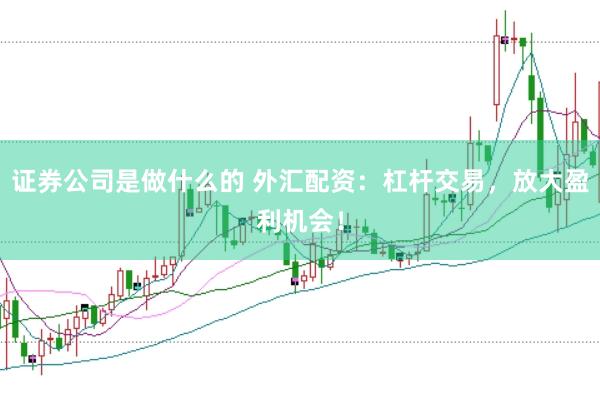 证券公司是做什么的 外汇配资：杠杆交易，放大盈利机会！